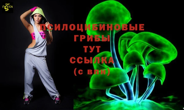 прущие грибы Абдулино