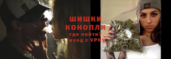 прущие грибы Абдулино