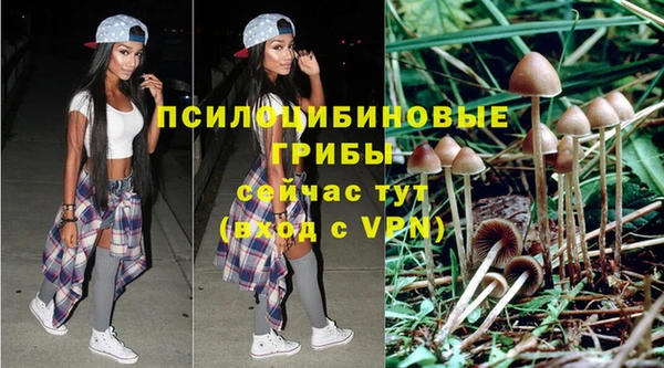 прущие грибы Абдулино
